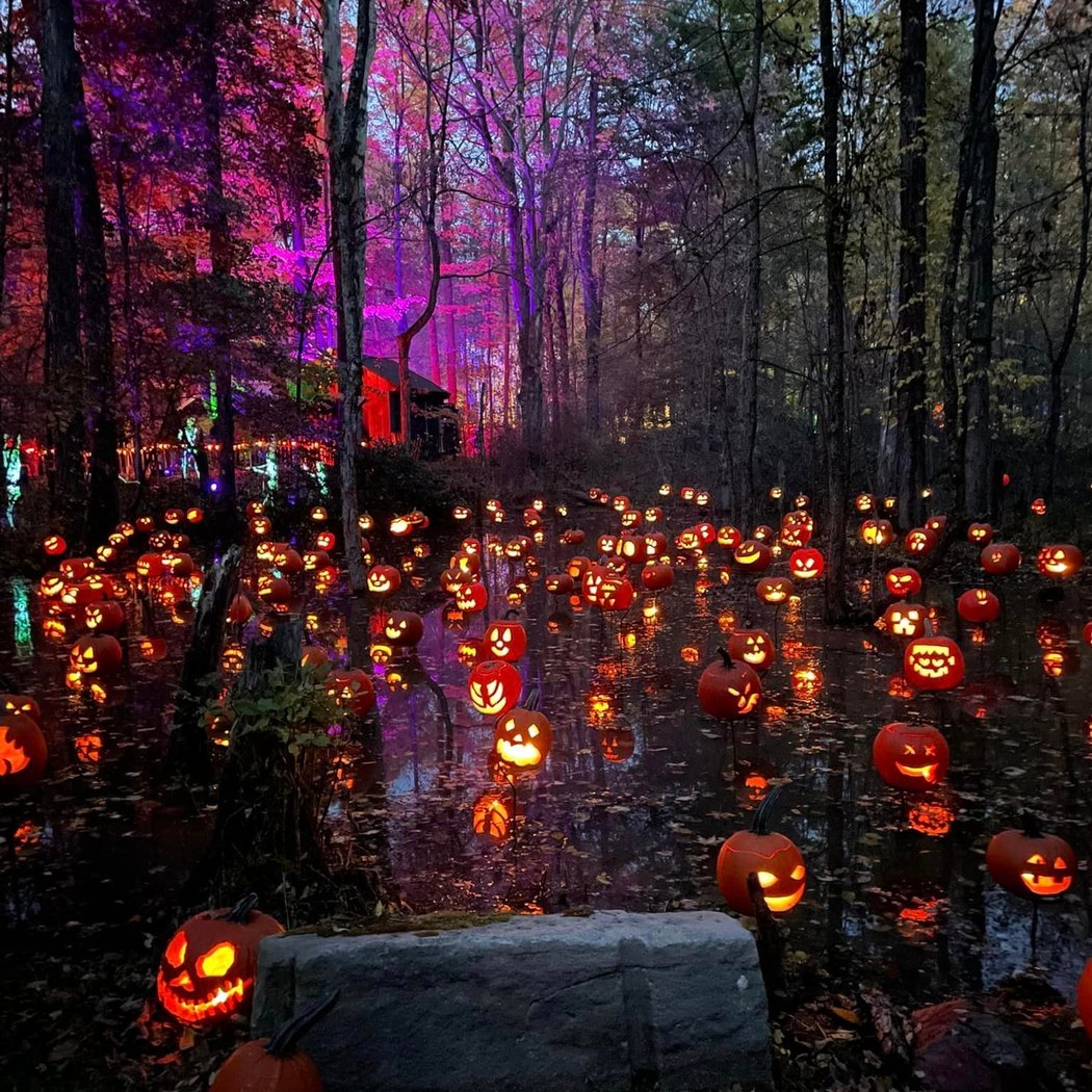 Halloween Fair